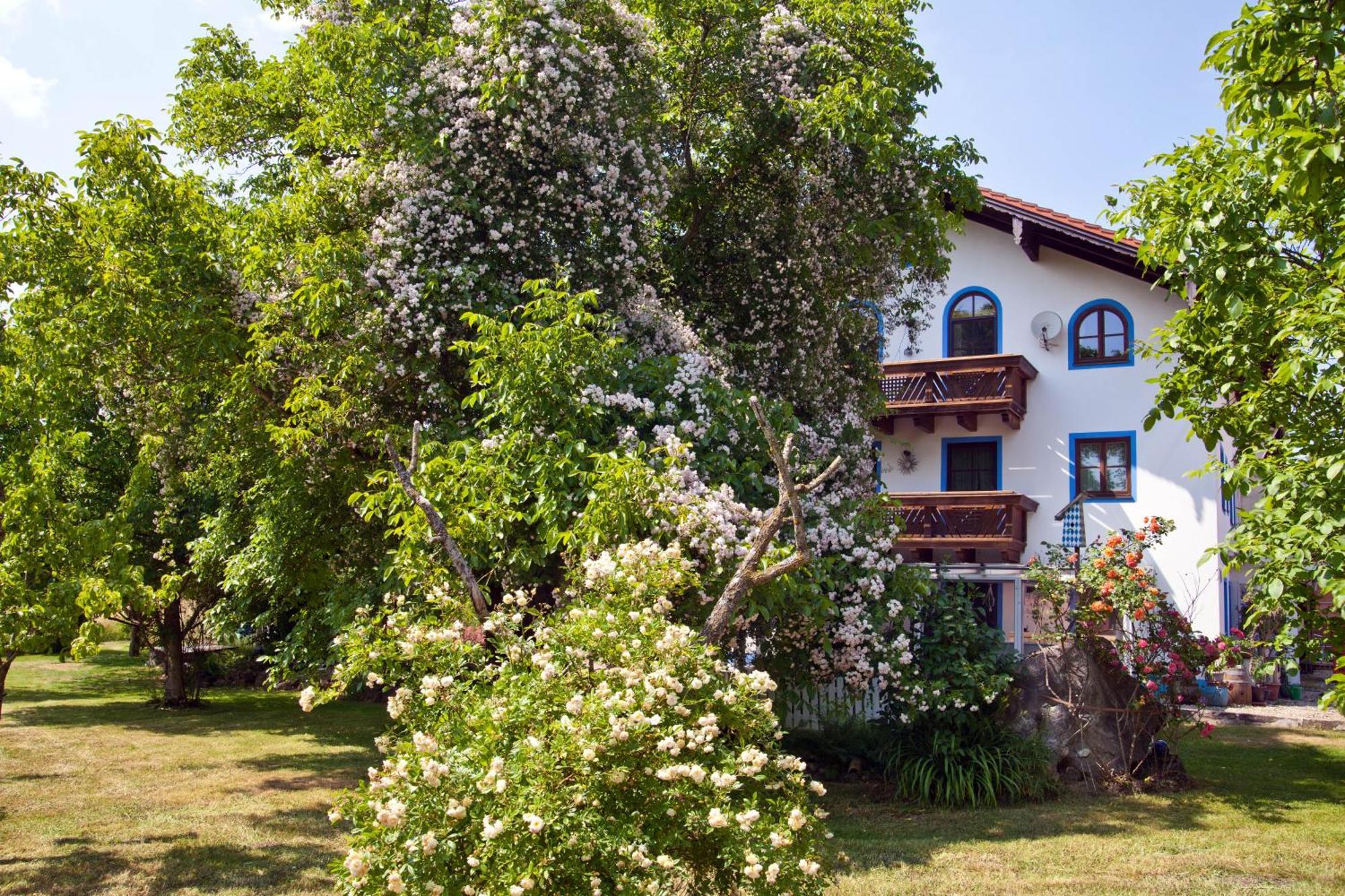 Ferienwohnung Moierhof Palling Buitenkant foto