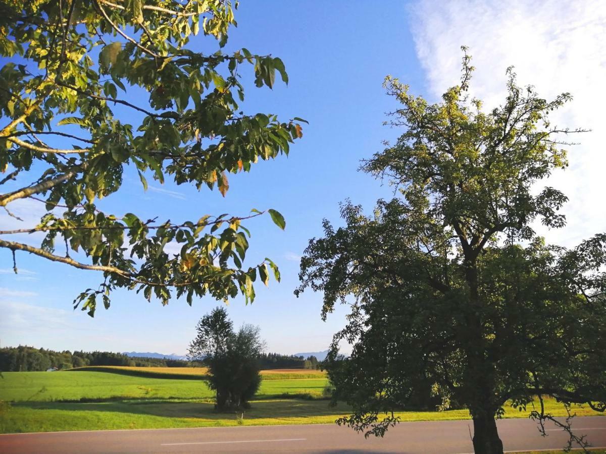 Ferienwohnung Moierhof Palling Buitenkant foto