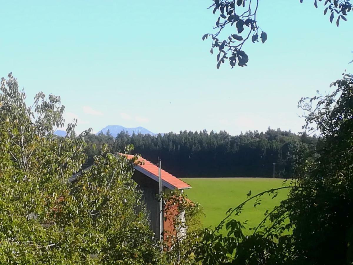 Ferienwohnung Moierhof Palling Buitenkant foto